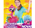 Frankie o Flamingo Dançante