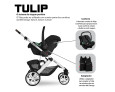 Bebê Conforto ABC Design Tulip
