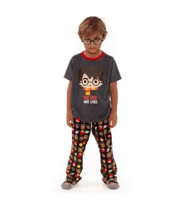 Pijama Manga Curta Kids Puket Harry Potter Cinza - 030402112