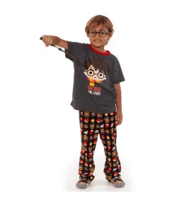 Pijama Manga Curta Teen Puket Harry Potter Cinza - 030501637