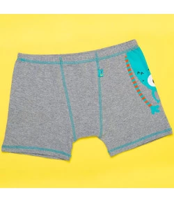 Cueca Boxer Puket Monstros Cinza DEZ18 - 040400757