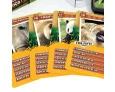 SUPER TRUNFO GROW ANIMAIS SELVAGENS