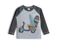 Camiseta Praia Menino Manga Longa Tip Top Cinza V21 3725156