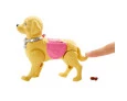 Barbie Passeio com cachorro Mattel 3+