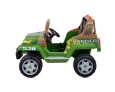 CARRINHO ELÉTRICO 