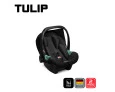 Bebê Conforto ABC Design Tulip